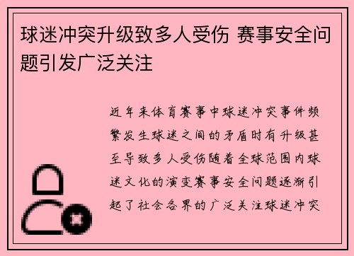 球迷冲突升级致多人受伤 赛事安全问题引发广泛关注